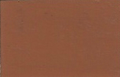 1981 Datsun Mesa Tan
